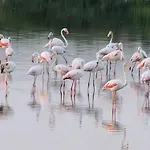 Le Tre Torri *